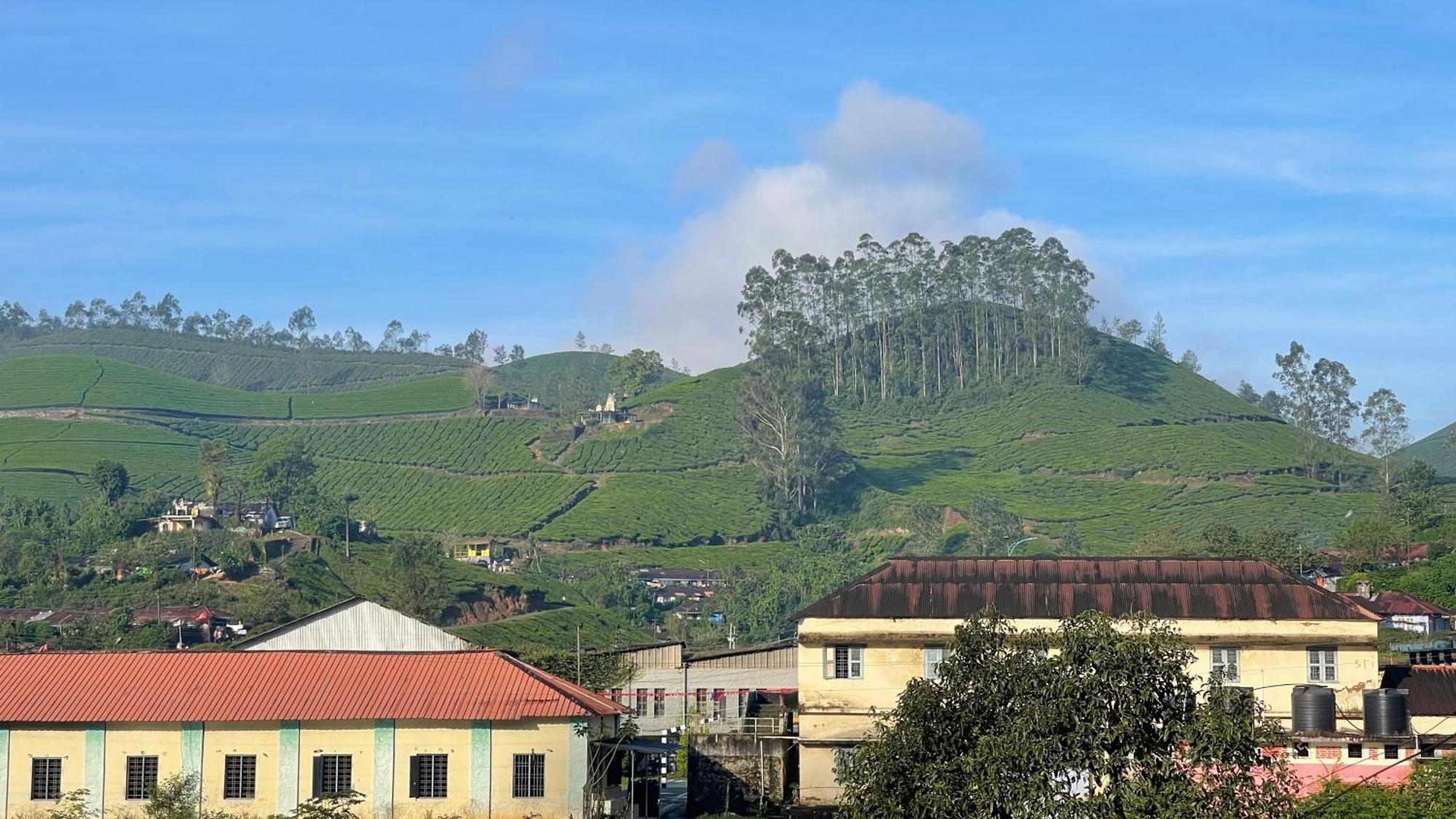 Green Ridge Munnar Exteriör bild